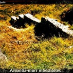 amantia-mur